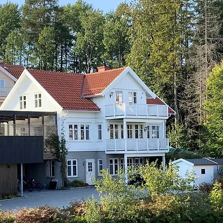 Koselig Liten Naer Skog, Og Occ -