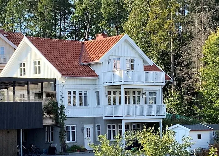 Koselig Liten Naer Skog, Og Occ -